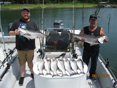 Nice Striped Bass